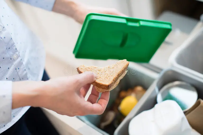 Food Waste and Food Loss