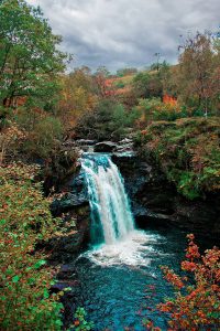 The beautiful and harmful nature The beautiful and harmful nature
